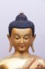 Picture of Shakyamuni Buddha | Buddha Statue | Gold Glided